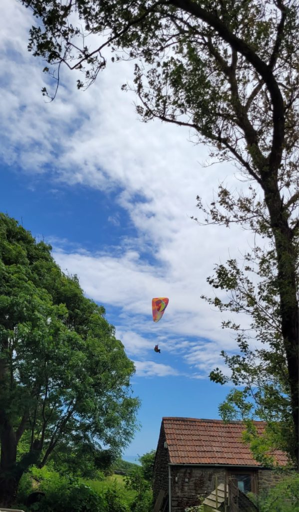 Andrew flying home